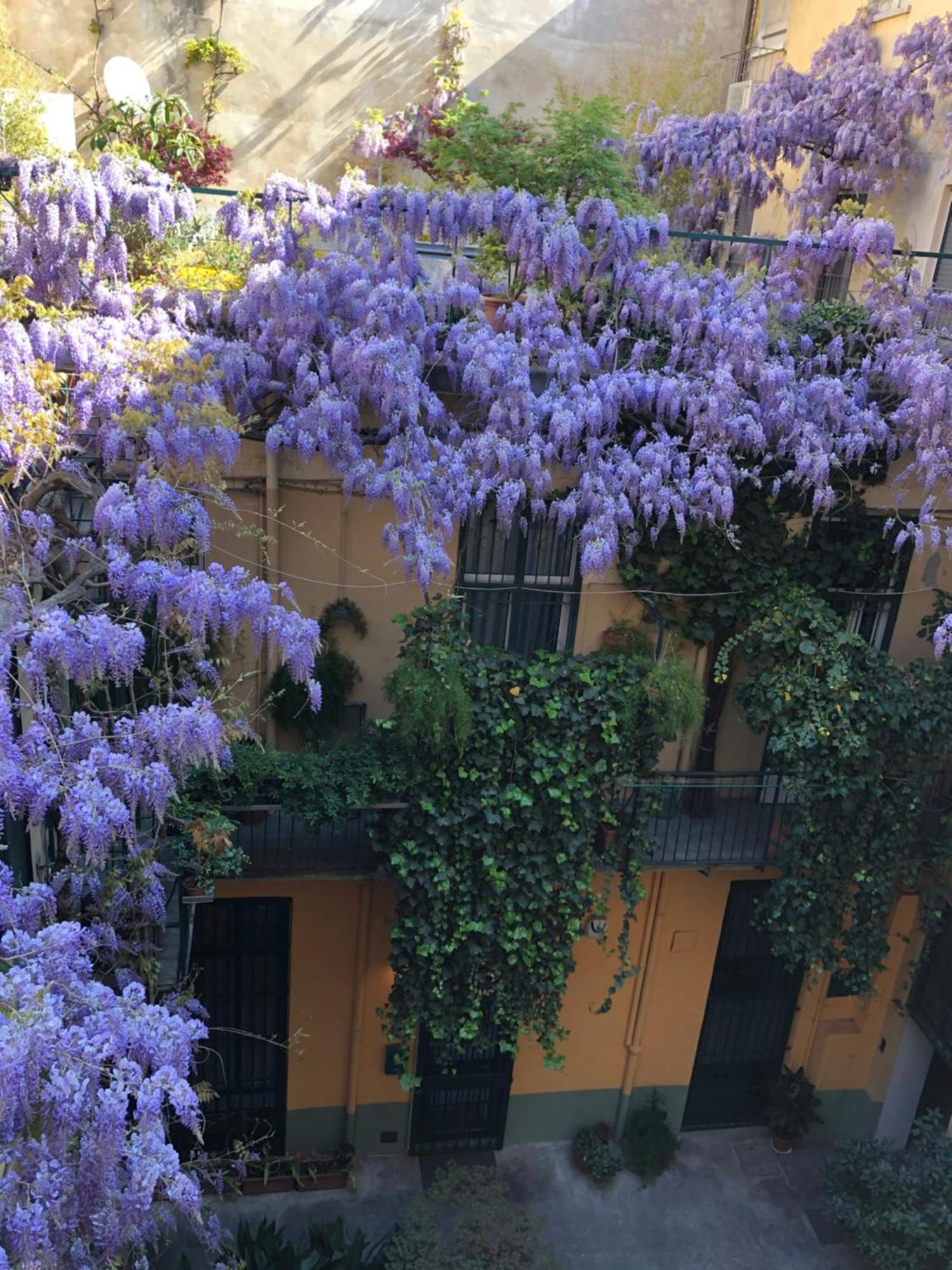 Apartamento La Casa Degli Angeli Turín Exterior foto