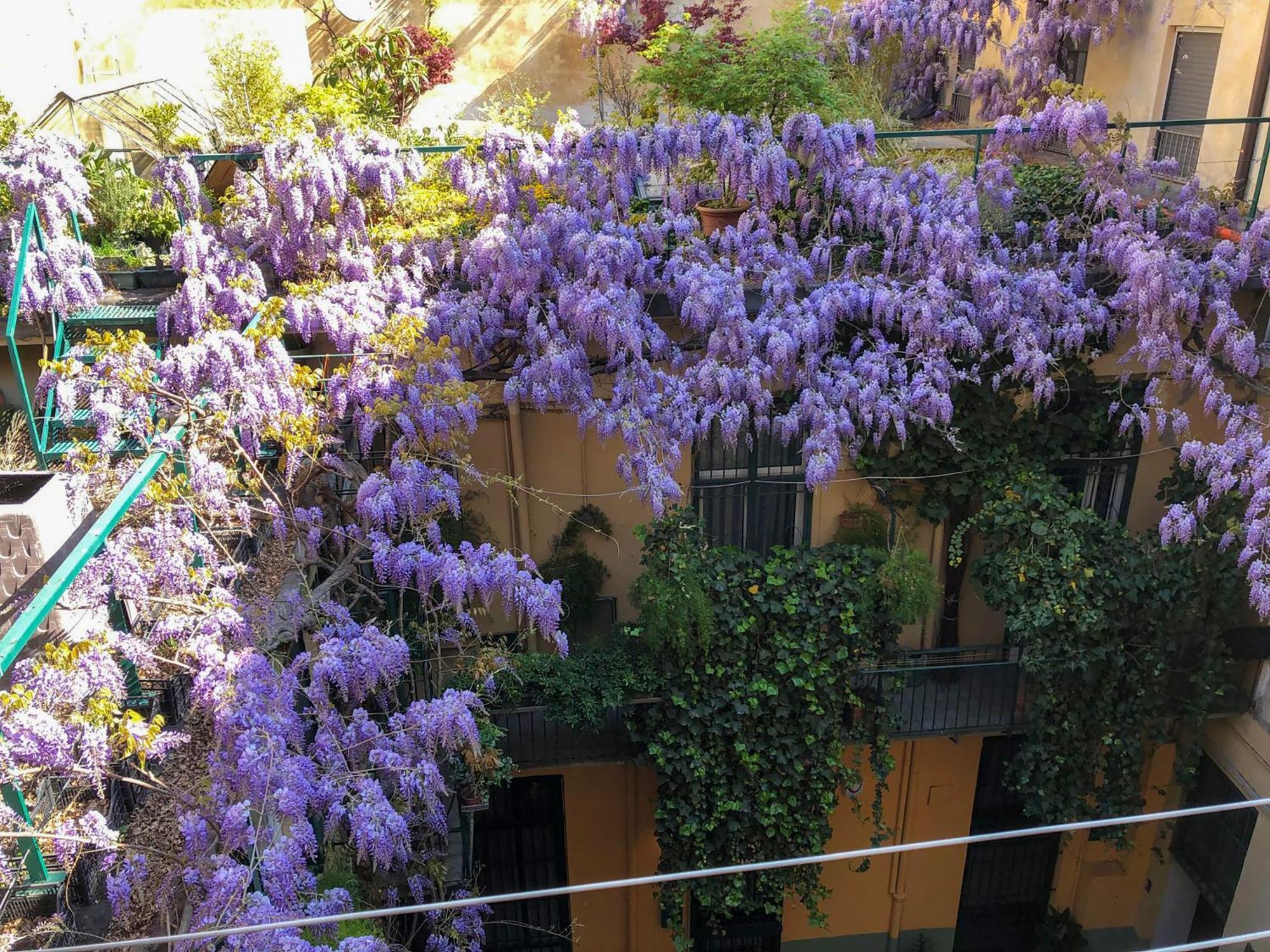Apartamento La Casa Degli Angeli Turín Exterior foto